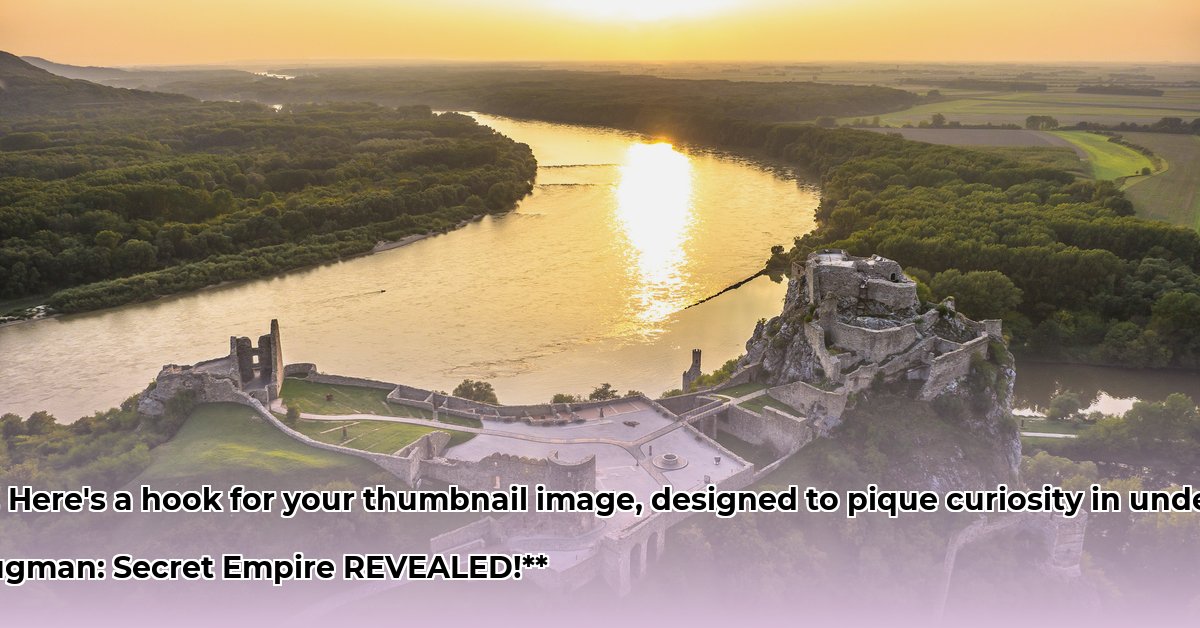 devin-brugman-net-worth